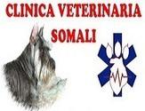 Fotos de Clinica Veterinaria Somali