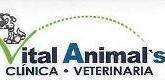 Fotos de Clinica Veterinaria Vita Animals