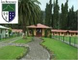 Fotos de Colegio Los Arrayanes