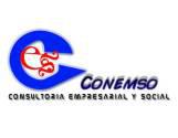 Consultoría Empresarial Y Social (Conemso)