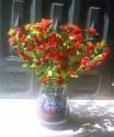 Fotos de Creaciones El Rocio