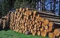 Fotos de Deposito De Madera “Avila”