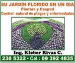 Diseño Y Construccion De Jardines