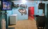Fotos de Distribuidora De Carnes Don Boly