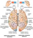 Fotos de Dr. Alejandro Villamarin - Neurocirujano