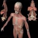 Fotos de Dr Jose Robosky Traumatologo Ortopedista