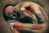 Fotos de Ebson Briones Arteaga Fisioterapeuta