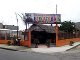 Fotos de Eco Afrodis