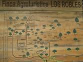Fotos de Finca Agroturistica Los Robles