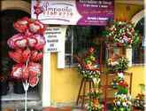 Fotos de Floreria Amparito