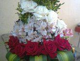 Fotos de Floristeria Ordoñez