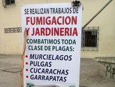 Fotos de Fumigaciones Y Jardineria Valencia