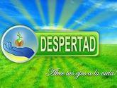 Fotos de Fundación Despertad