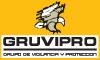 Fotos de Gruvipro