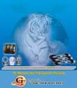 Fotos de Importaciones Global Transport Parts