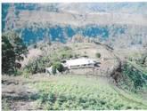 Intag Venta De Terreno