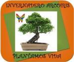 Fotos de Invernadero Arco Iris
