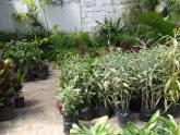 Fotos de Jardin La Palma