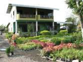 Fotos de Jardin Vivero El Gato