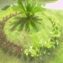 Fotos de Jardineria Bryan