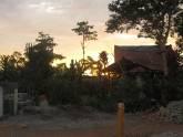 Fotos de Jardines Las Bromelias