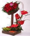 Fotos de Lady Floristeria - Las Orquideas