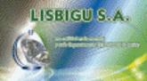 Lisbigu S.a.