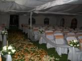 Fotos de Mega Fiestas Y Eventos
