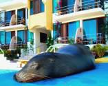 Fotos de Megahoteles