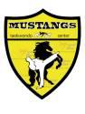 Fotos de Mustangs Taekwondo Center
