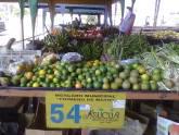 Fotos de Productos De La Zona