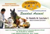 Fotos de Servivet