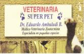 Fotos de Super Pet