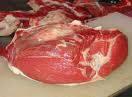 Fotos de Tercena “La Feria De La Carne”