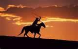 Fotos de The Cowboy