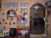 Fotos de Veterinaria Puppies Vet