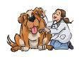 Fotos de Veterinaria “San Francisco”