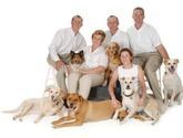 Fotos de Veterinaria Y Hospedaje ¨mascotas