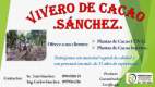 Fotos de Vivero De Cacao Sánchez & Asociados