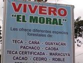 Fotos de Vivero El Moral