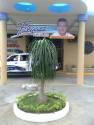 Fotos de Vivero Heddy