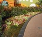Fotos de Vivero Los Vergeles