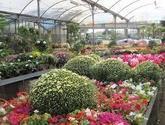 Fotos de Vivero Yuramira