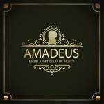 Academia De Música Amadeus