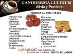 Fotos de Ganoderma De Venta En Quito