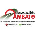 Fotos de Gruas Telescopicas En Ambato Winchas Ecuador Brazos Hidraulicos