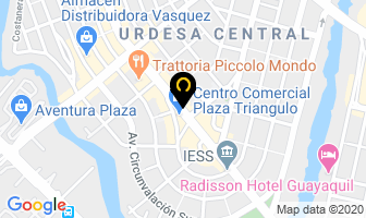 Mapa de Franz Viegener en Guayaquil