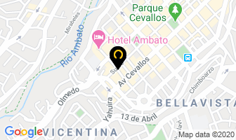 Mapa de Molle Estudio De Diseño en Ambato
