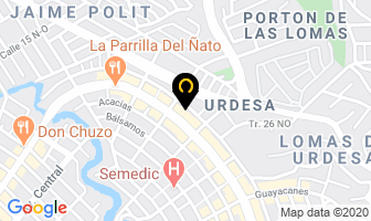 Mapa de Productos Ionizables en Guayaquil