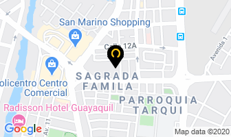 Mapa de The Dent Wizard en Guayaquil